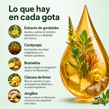 Pulmoria® - Cuidá tus pulmones día a día.