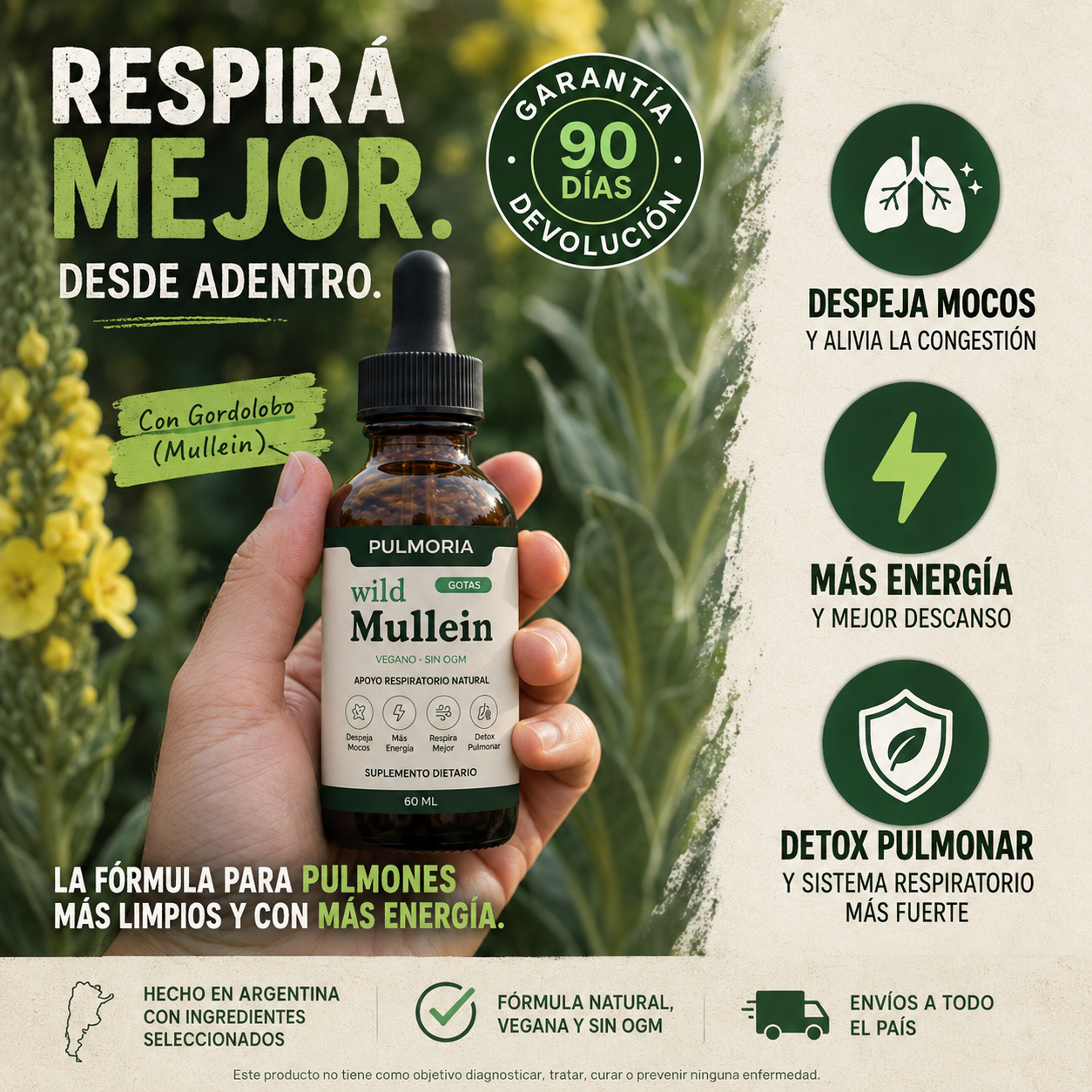 Pulmoria® - Cuidá tus pulmones día a día.