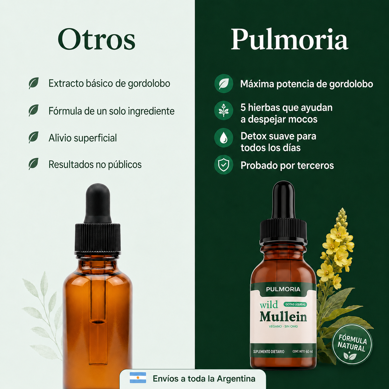 Pulmoria® - Cuidá tus pulmones día a día.